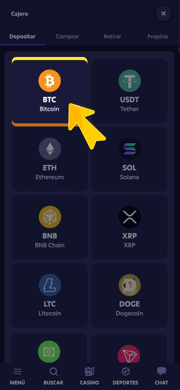 Seleccione su método de pago en el portal oficial de Roobet.